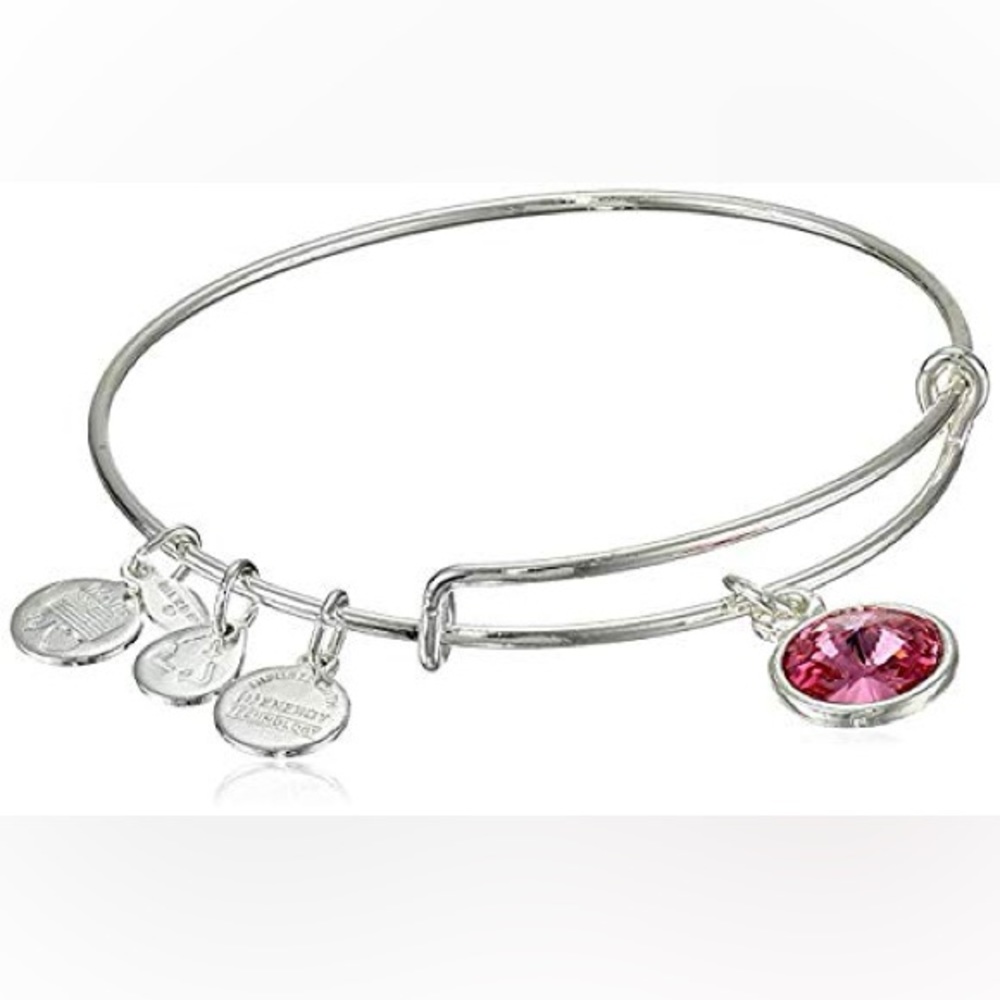Alex & Ani Bangle Bar Pink Tourmaline October Birthstone Bangle Bracelet